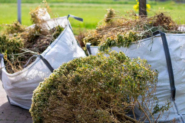Best Commercial Junk Removal  in South Carthage, TN
